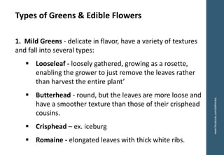 1. Mild Greens - delicate in flavor, have a variety of textures
and fall into several types:
▪ Looseleaf - loosely gathered, growing as a rosette,
enabling the grower to just remove the leaves rather
than harvest the entire plant’
▪ Butterhead - round, but the leaves are more loose and
have a smoother texture than those of their crisphead
cousins.
▪ Crisphead – ex. iceburg
▪ Romaine - elongated leaves with thick white ribs.
Types of Greens & Edible Flowers
www.facebook.com/delhindra
 