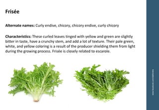 Frisée
Alternate names: Curly endive, chicory, chicory endive, curly chicory
Characteristics: These curled leaves tinged with yellow and green are slightly
bitter in taste, have a crunchy stem, and add a lot of texture. Their pale green,
white, and yellow coloring is a result of the producer shielding them from light
during the growing process. Frisée is closely related to escarole.
www.facebook.com/delhindra
 