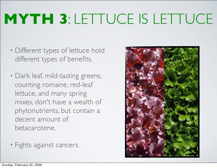 What are the different types of lettuce?