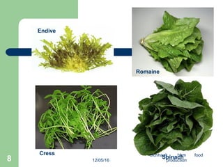 Romaine
Spinach
Endive
Cress
12/05/16
bichha rk bhm food
production8
 