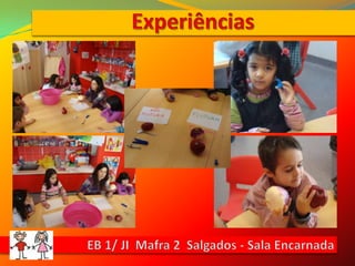 ExperiênciasEB 1/ JI  Mafra 2  Salgados - Sala Encarnada
