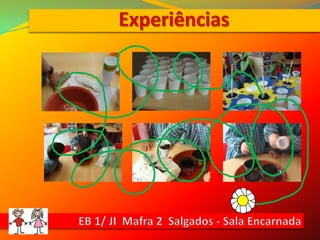 ExperiênciasEB 1/ JI  Mafra 2  Salgados - Sala Encarnada