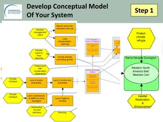Step 1
Develop Conceptual Model
Of Your System
 
