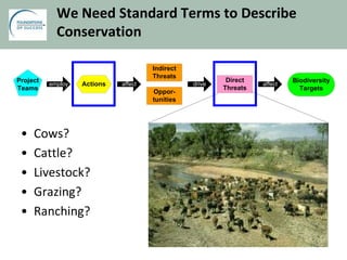 We Need Standard Terms to Describe
Conservation
• Cows?
• Cattle?
• Livestock?
• Grazing?
• Ranching?
Direct
Threats
Biodiversity
Targets
Indirect
Threats
Oppor-
tunities
affectdriveaffect
Project
Teams
employ Actions
 
