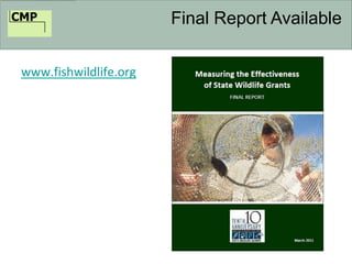 CMP Final Report Available
www.fishwildlife.org
 