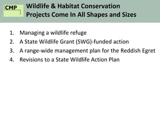 CMP Wildlife & Habitat Conservation
Projects Come In All Shapes and Sizes
1. Managing a wildlife refuge
2. A State Wildlife Grant (SWG)-funded action
3. A range-wide management plan for the Reddish Egret
4. Revisions to a State Wildlife Action Plan
 