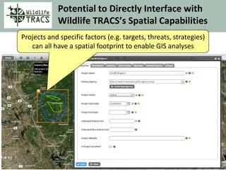Potential to Directly Interface with
Wildlife TRACS’s Spatial Capabilities
Projects and specific factors (e.g. targets, threats, strategies)
can all have a spatial footprint to enable GIS analyses
 
