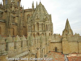Torre del Gallo (Catedral Vieja) 