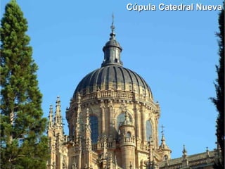 Cúpula Catedral Nueva 