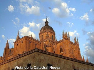 Vista de la Catedral Nueva  