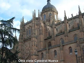 Otra vista Catedral Nueva 