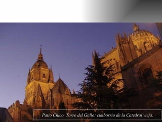 Patio Chico. Torre del Gallo: cimborrio de la Catedral vieja. 