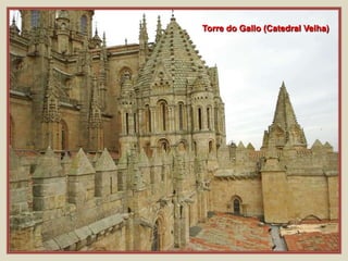 Torre do Gallo (Catedral Velha)
 