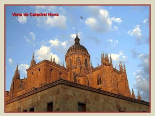 Vista da Catedral Nova
 