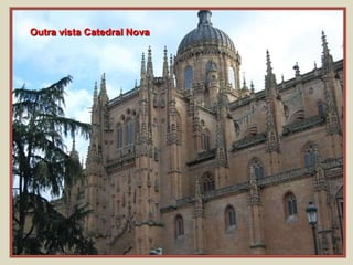 Outra vista Catedral Nova
 