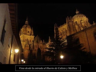 Vista desde la entrada al Huerto de Calixto y Melibea 