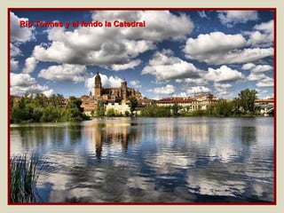Río Tormes y al fondo la Catedral