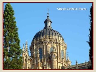 Cúpula Catedral Nueva