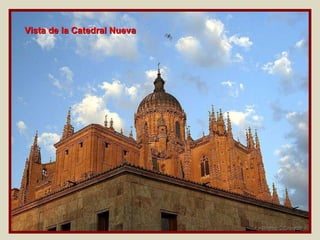 Vista de la Catedral Nueva