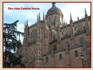 Otra vista Catedral Nueva