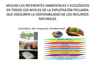APLICAR LAS REFERENTES AMBIENTALES Y ECOLÓGICOS
EN TODOS LOS NIVELES DE LA EXPLOTACIÓN PECUARIA
QUE ASEGUREN LA SOSTENIBILIDAD DE LOS RECURSOS
NATURALES
 