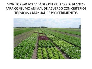 MONITOREAR ACTIVIDADES DEL CULTIVO DE PLANTAS
PARA CONSUMO ANIMAL DE ACUERDO CON CRITERIOS
TÉCNICOS Y MANUAL DE PROCEDIMIENTOS
 