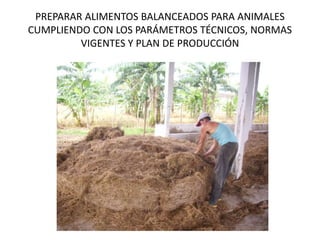 PREPARAR ALIMENTOS BALANCEADOS PARA ANIMALES
CUMPLIENDO CON LOS PARÁMETROS TÉCNICOS, NORMAS
VIGENTES Y PLAN DE PRODUCCIÓN
 