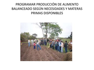 PROGRAMAR PRODUCCIÓN DE ALIMENTO
BALANCEADO SEGÚN NECESIDADES Y MATERAS
PRIMAS DISPONIBLES
 