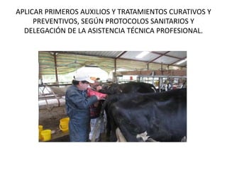 APLICAR PRIMEROS AUXILIOS Y TRATAMIENTOS CURATIVOS Y
PREVENTIVOS, SEGÚN PROTOCOLOS SANITARIOS Y
DELEGACIÓN DE LA ASISTENCIA TÉCNICA PROFESIONAL.
 