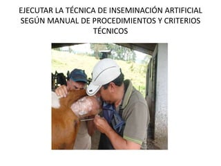 EJECUTAR LA TÉCNICA DE INSEMINACIÓN ARTIFICIAL
SEGÚN MANUAL DE PROCEDIMIENTOS Y CRITERIOS
TÉCNICOS
 
