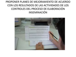 PROPONER PLANES DE MEJORAMIENTO DE ACUERDO
CON LOS RESULTADOS DE LAS ACTIVIDADES DE LOS
CONTROLES DEL PROCESO DE ELABORACIÓN
INSEMINACIÓN
 