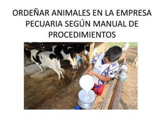 ORDEÑAR ANIMALES EN LA EMPRESA
PECUARIA SEGÚN MANUAL DE
PROCEDIMIENTOS
 