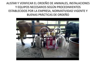 ALISTAR Y VERIFICAR EL ORDEÑO DE ANIMALES, INSTALACIONES
Y EQUIPOS NECESARIOS SEGÚN PROCEDIMIENTOS
ESTABLECIDOS POR LA EMPRESA, NORMATIVIDAD VIGENTE Y
BUENAS PRÁCTICAS DE ORDEÑO
 