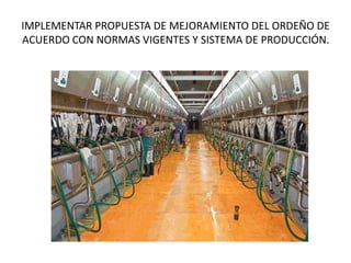 IMPLEMENTAR PROPUESTA DE MEJORAMIENTO DEL ORDEÑO DE
ACUERDO CON NORMAS VIGENTES Y SISTEMA DE PRODUCCIÓN.
 
