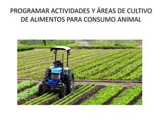 PROGRAMAR ACTIVIDADES Y ÁREAS DE CULTIVO
DE ALIMENTOS PARA CONSUMO ANIMAL
 