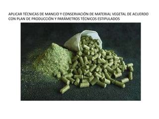 APLICAR TÉCNICAS DE MANEJO Y CONSERVACIÓN DE MATERIAL VEGETAL DE ACUERDO
CON PLAN DE PRODUCCIÓN Y PARÁMETROS TÉCNICOS ESTIPULADOS
 