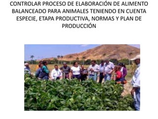 CONTROLAR PROCESO DE ELABORACIÓN DE ALIMENTO
BALANCEADO PARA ANIMALES TENIENDO EN CUENTA
ESPECIE, ETAPA PRODUCTIVA, NORMAS Y PLAN DE
PRODUCCIÓN
 