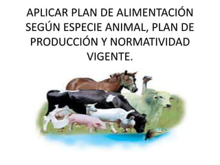 APLICAR PLAN DE ALIMENTACIÓN
SEGÚN ESPECIE ANIMAL, PLAN DE
PRODUCCIÓN Y NORMATIVIDAD
VIGENTE.
 