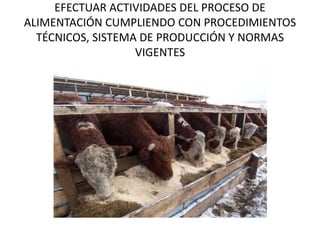 EFECTUAR ACTIVIDADES DEL PROCESO DE
ALIMENTACIÓN CUMPLIENDO CON PROCEDIMIENTOS
TÉCNICOS, SISTEMA DE PRODUCCIÓN Y NORMAS
VIGENTES
 