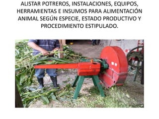 ALISTAR POTREROS, INSTALACIONES, EQUIPOS,
HERRAMIENTAS E INSUMOS PARA ALIMENTACIÓN
ANIMAL SEGÚN ESPECIE, ESTADO PRODUCTIVO Y
PROCEDIMIENTO ESTIPULADO.
 