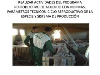 REALIZAR ACTIVIDADES DEL PROGRAMA
REPRODUCTIVO DE ACUERDO CON NORMAS,
PARÁMETROS TÉCNICOS, CICLO REPRODUCTIVO DE LA
ESPECIE Y SISTEMA DE PRODUCCIÓN
 