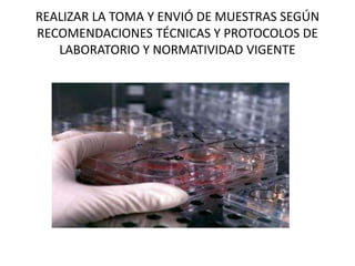 REALIZAR LA TOMA Y ENVIÓ DE MUESTRAS SEGÚN
RECOMENDACIONES TÉCNICAS Y PROTOCOLOS DE
LABORATORIO Y NORMATIVIDAD VIGENTE
 
