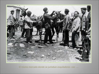 El mismo mercado donde se juntaban esquiladores  con  …. 