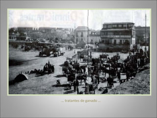 …  tratantes de ganado … 