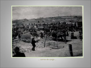 …  carros de carga … 