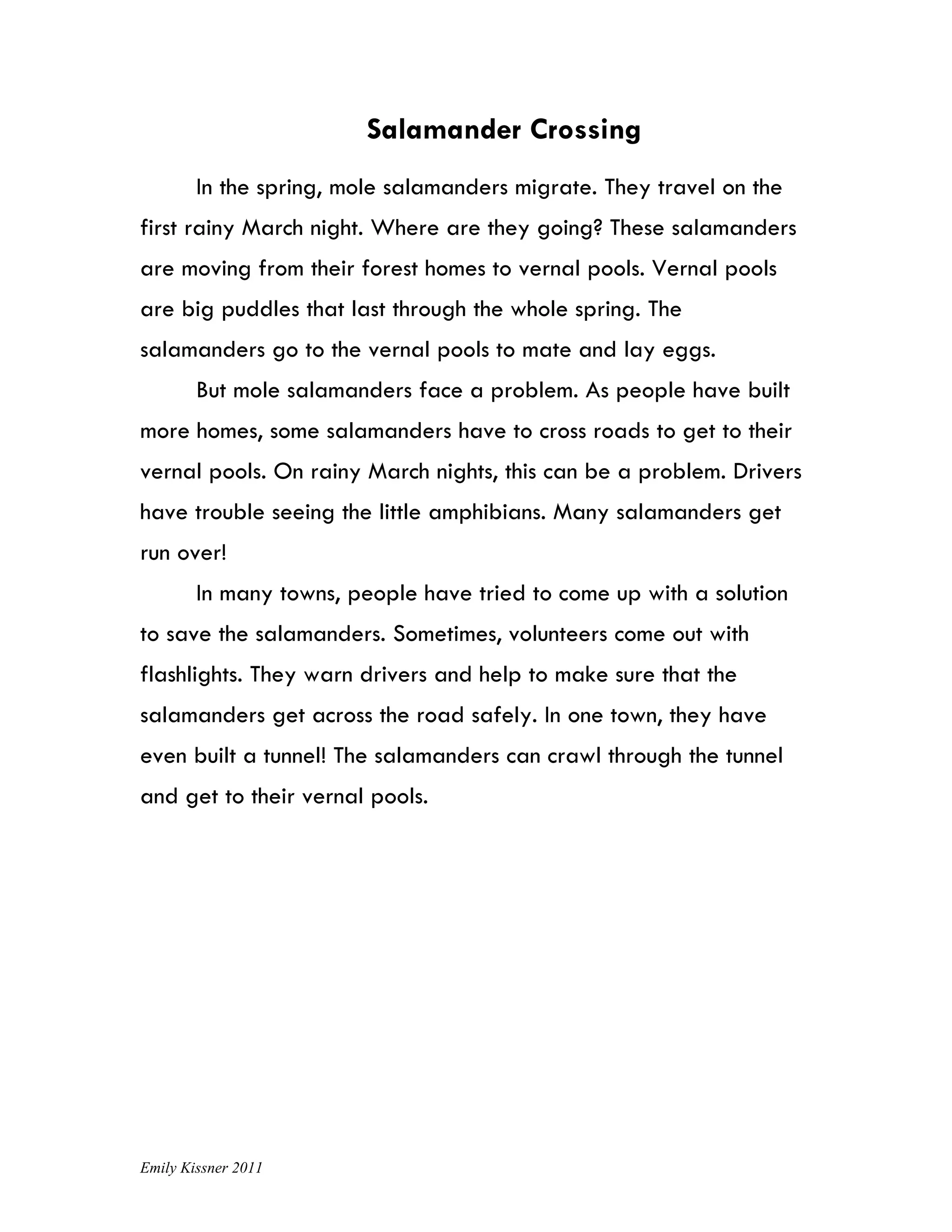 Salamander Crossing
        In the spring, mole salamanders migrate. They travel on the
first rainy March night. Where are they going? These salamanders
are moving from their forest homes to vernal pools. Vernal pools
are big puddles that last through the whole spring. The
salamanders go to the vernal pools to mate and lay eggs.
        But mole salamanders face a problem. As people have built
more homes, some salamanders have to cross roads to get to their
vernal pools. On rainy March nights, this can be a problem. Drivers
have trouble seeing the little amphibians. Many salamanders get
run over!
        In many towns, people have tried to come up with a solution
to save the salamanders. Sometimes, volunteers come out with
flashlights. They warn drivers and help to make sure that the
salamanders get across the road safely. In one town, they have
even built a tunnel! The salamanders can crawl through the tunnel
and get to their vernal pools.




Emily Kissner 2011
 