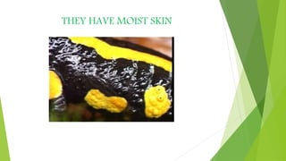 THEY HAVE MOIST SKIN
 