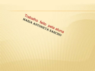 Salamandra - Antonieta Narciso