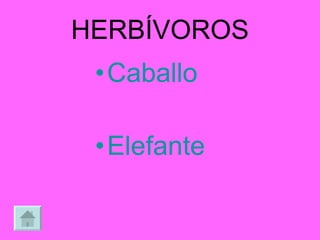 HERBÍVOROS Caballo Elefante 