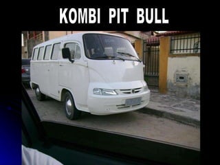 KOMBI  PIT  BULL 